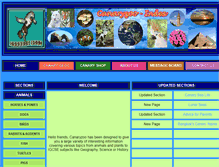 Tablet Screenshot of canaryzoo.com